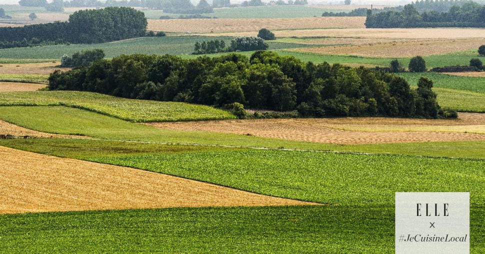 Consommer local : vers une alimentation plus durable