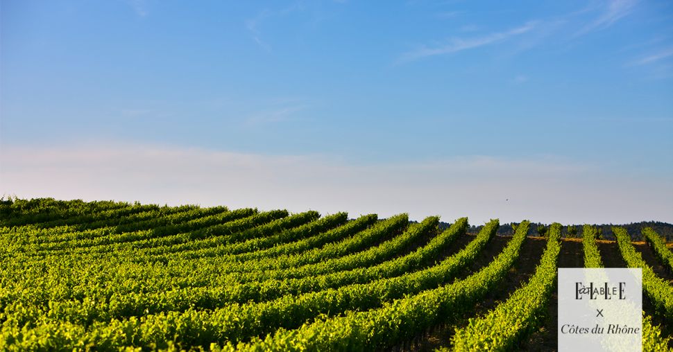 Blanc, Rouge, Rosé : 3 vins des Côtes du Rhône à déguster tout au long de la journée