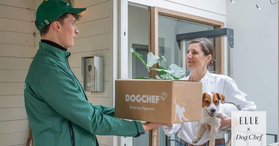 Concours Dog Chef : votre chien va se régaler !