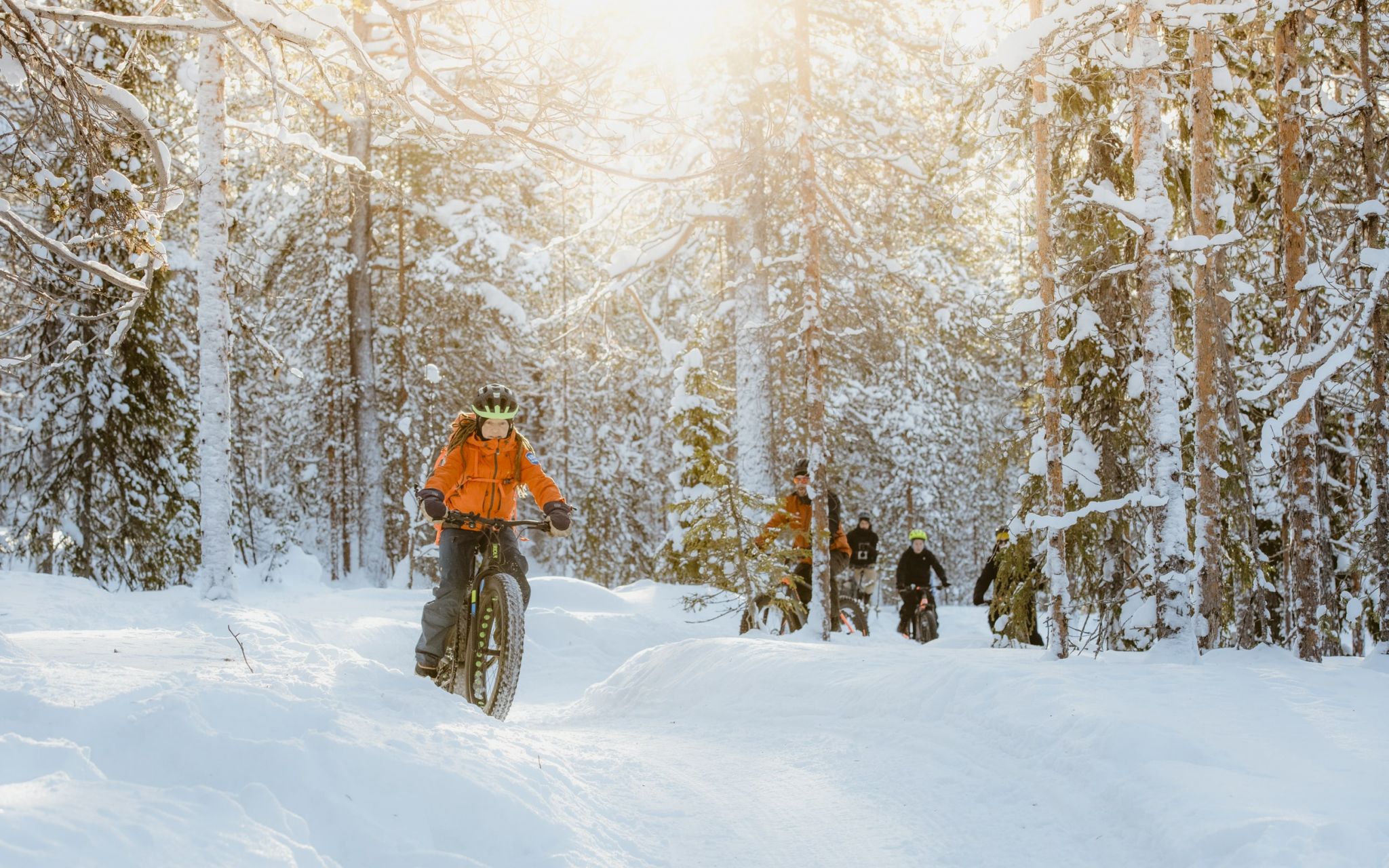 fatbike Laponie