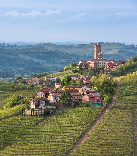 Piémont : saveurs authentiques entre rizières et vignobles