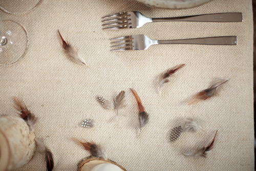 Photo d'une nappe beige avec plumes éparpillées.