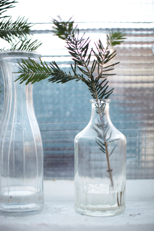 Branches de sapin dans un vase vintage blanc