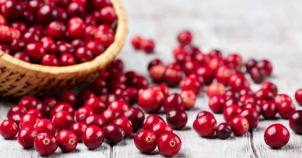 5 recettes aux cranberries pour booster votre tonus