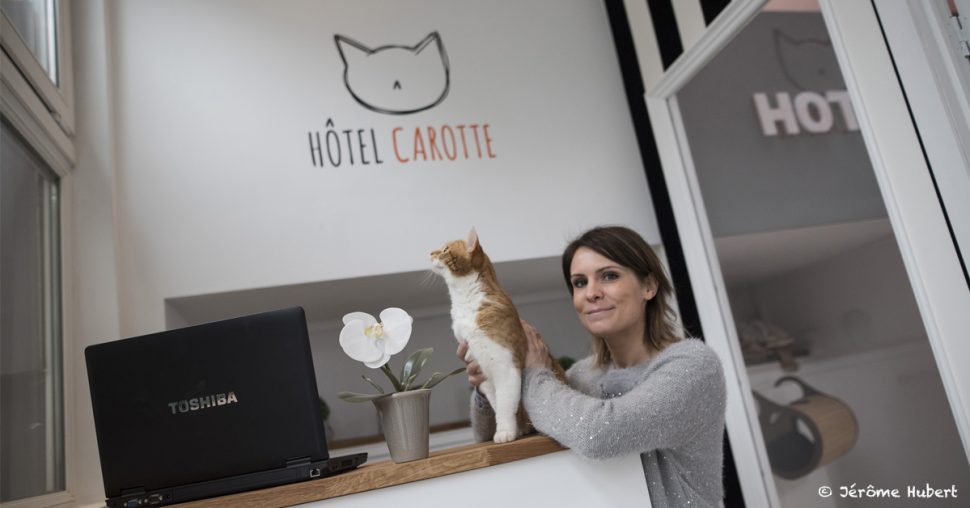 Un club de vacances pour chats a ouvert à Bruxelles