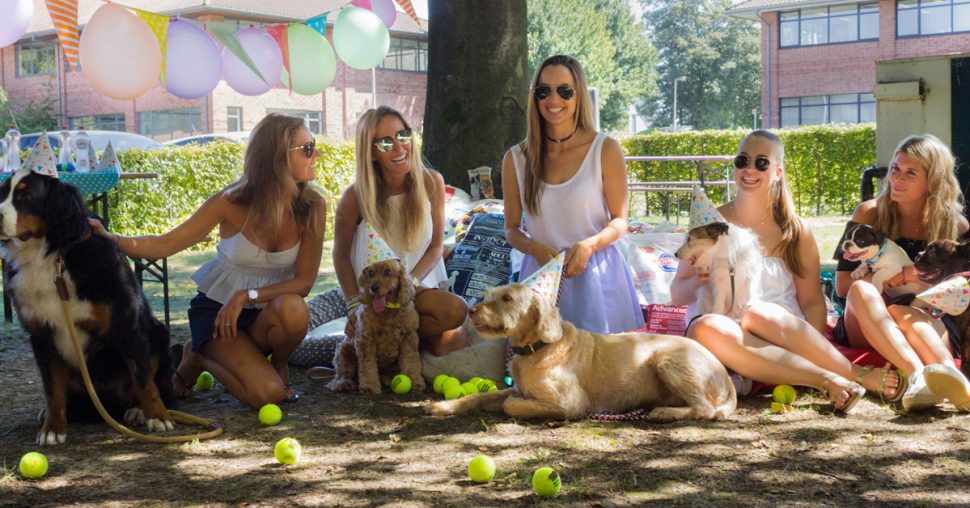 La bonne action du ELLE Belgique pour la Journée Internationale du chien