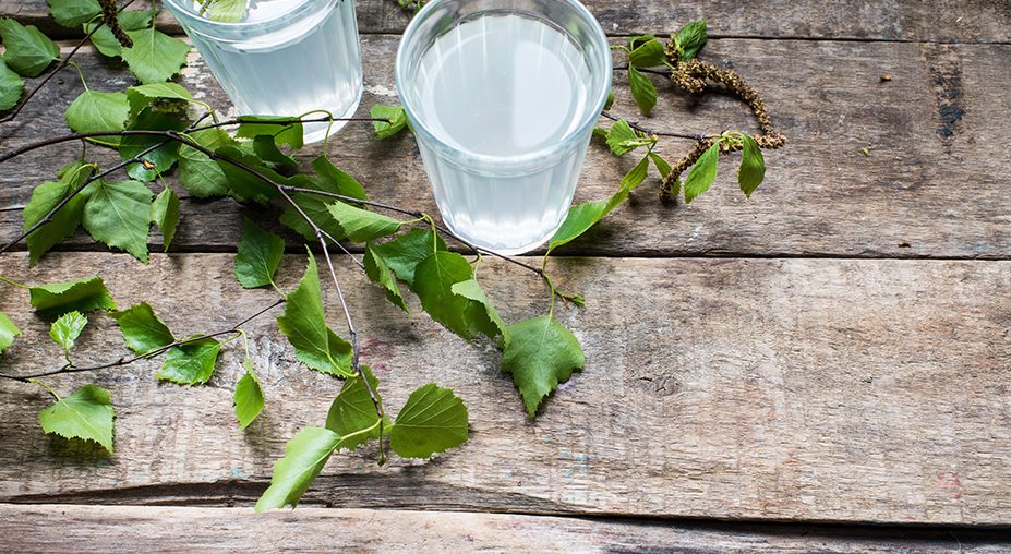 On vous explique les bienfaits de l’eau de bouleau