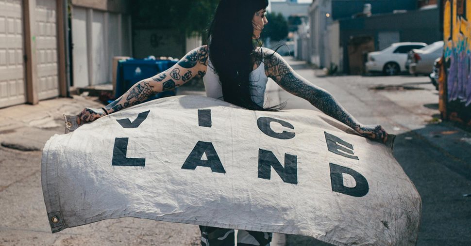 VICELAND Belgium : pourquoi et pour qui ?