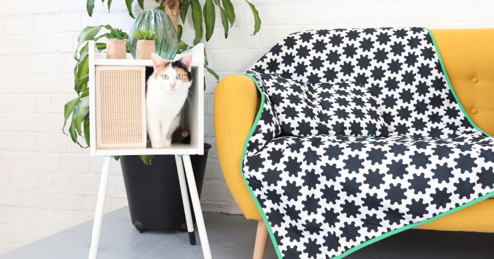 Nos chats ont testé la collection IKEA pour les animaux de compagnie (VIDEO)