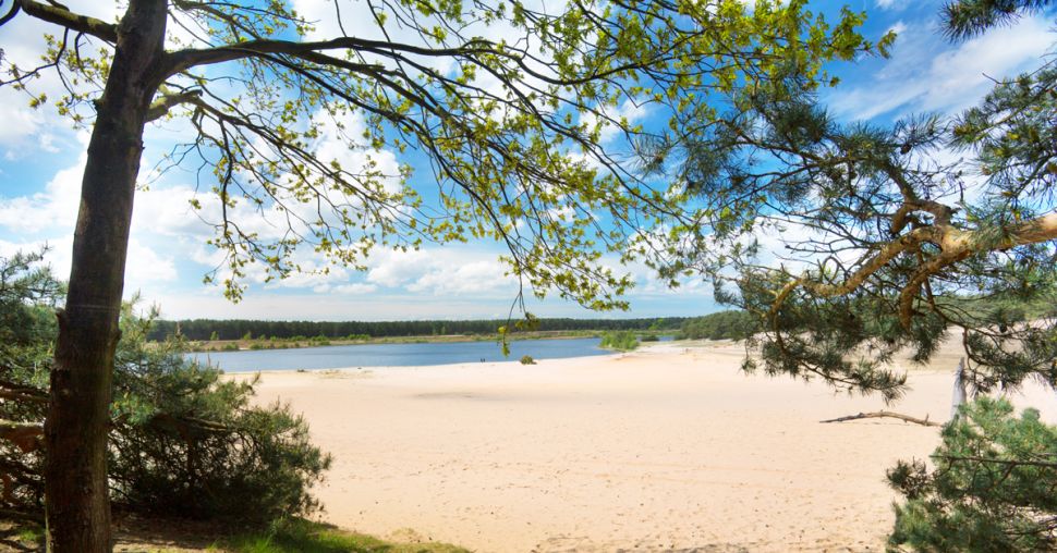 Nature: 7 endroits canon en Belgique pour profiter du soleil