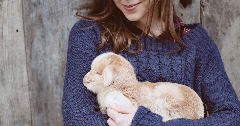 Le produit de beauté qu’il vous faut si vous aimez vraiment les animaux