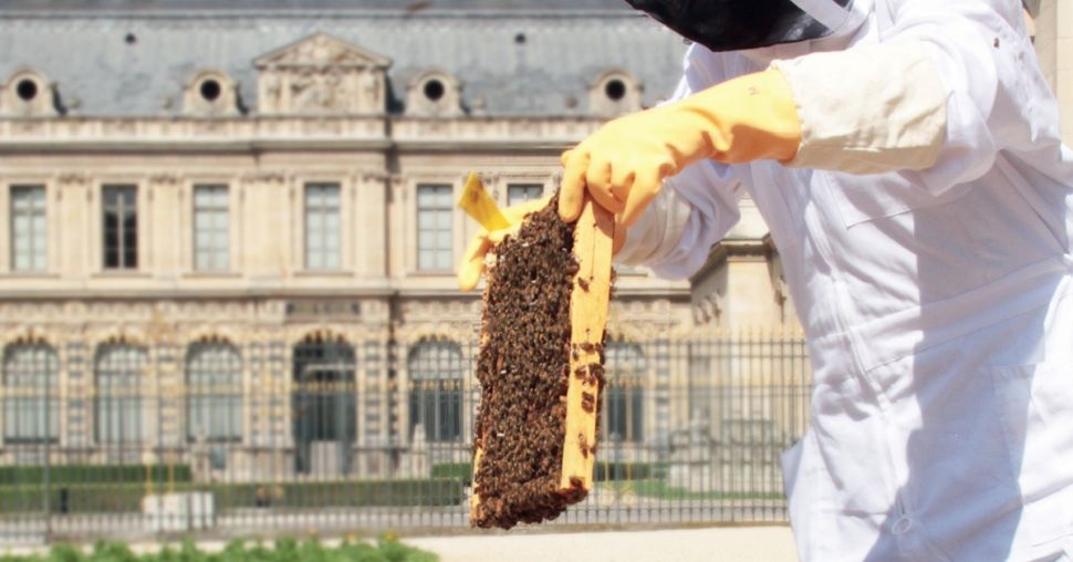 On y va : Le Louvre x les ruches de Nuxe