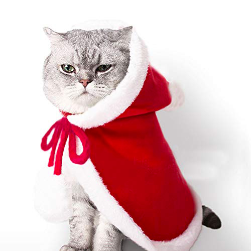 Cadeaux De Noel Pour Mon Chat 12 Idees Geniales Elle Be