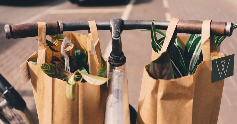 Graapz: le site pour acheter ses fruits et légumes à prix mini