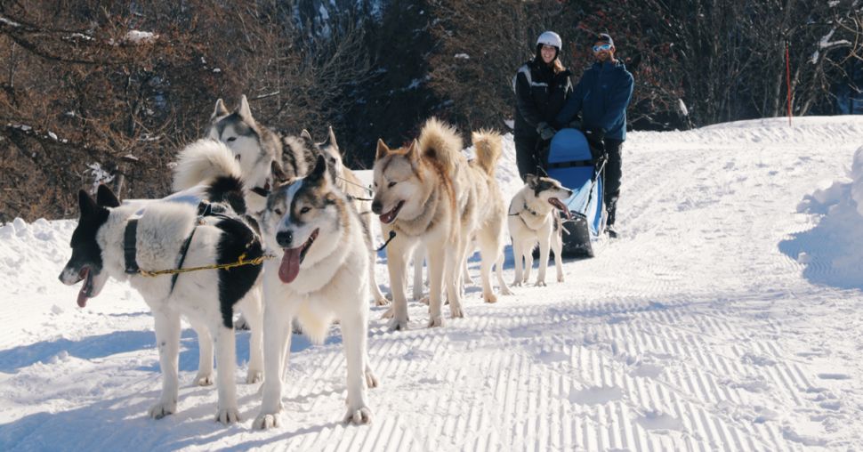 3 activités insolites à tester absolument au ski (vidéo)