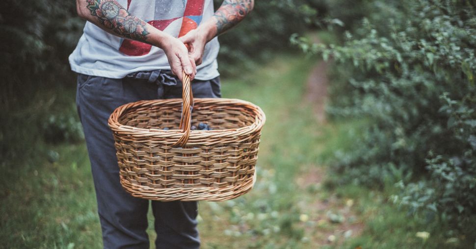 Little Green Box: les paniers bio et zéro déchet 100% belges