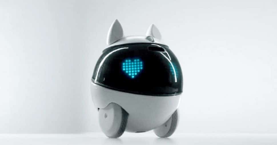 Winky : le robot éducatif pour les enfants