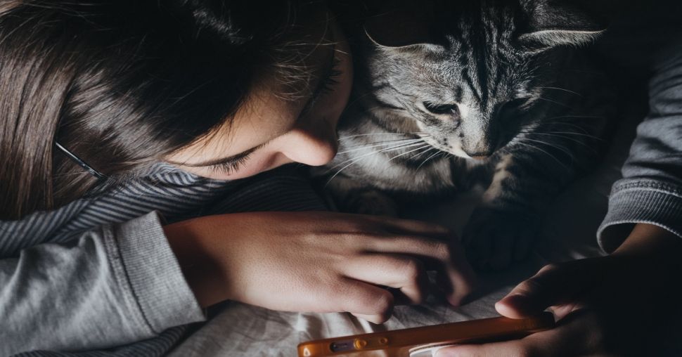 Mopets : le réseau social des amoureux des animaux