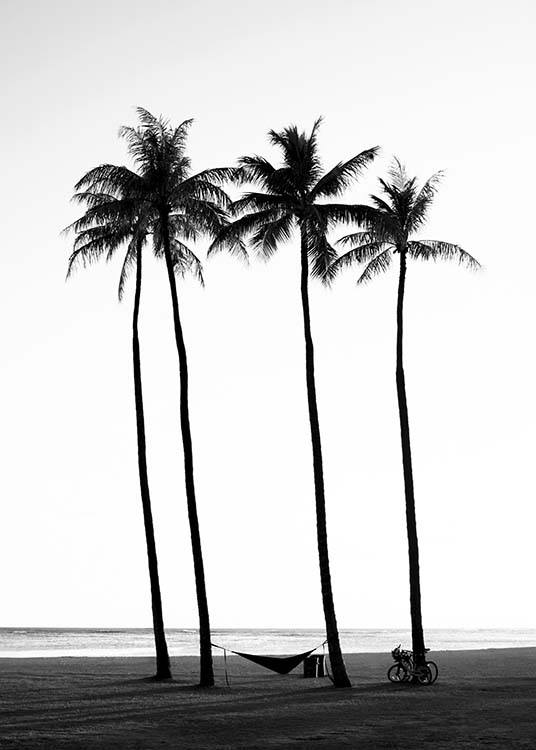 Palm Trees On Beach Affiche