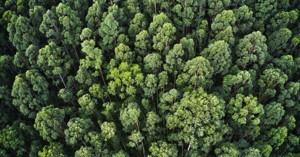 Ces femmes indigènes se battent pour sauver l’Amazonie