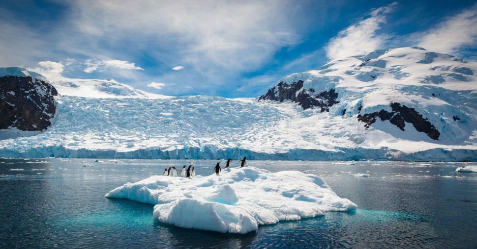 Homeward bound project: l’importance de l’impact féminin sur la planète