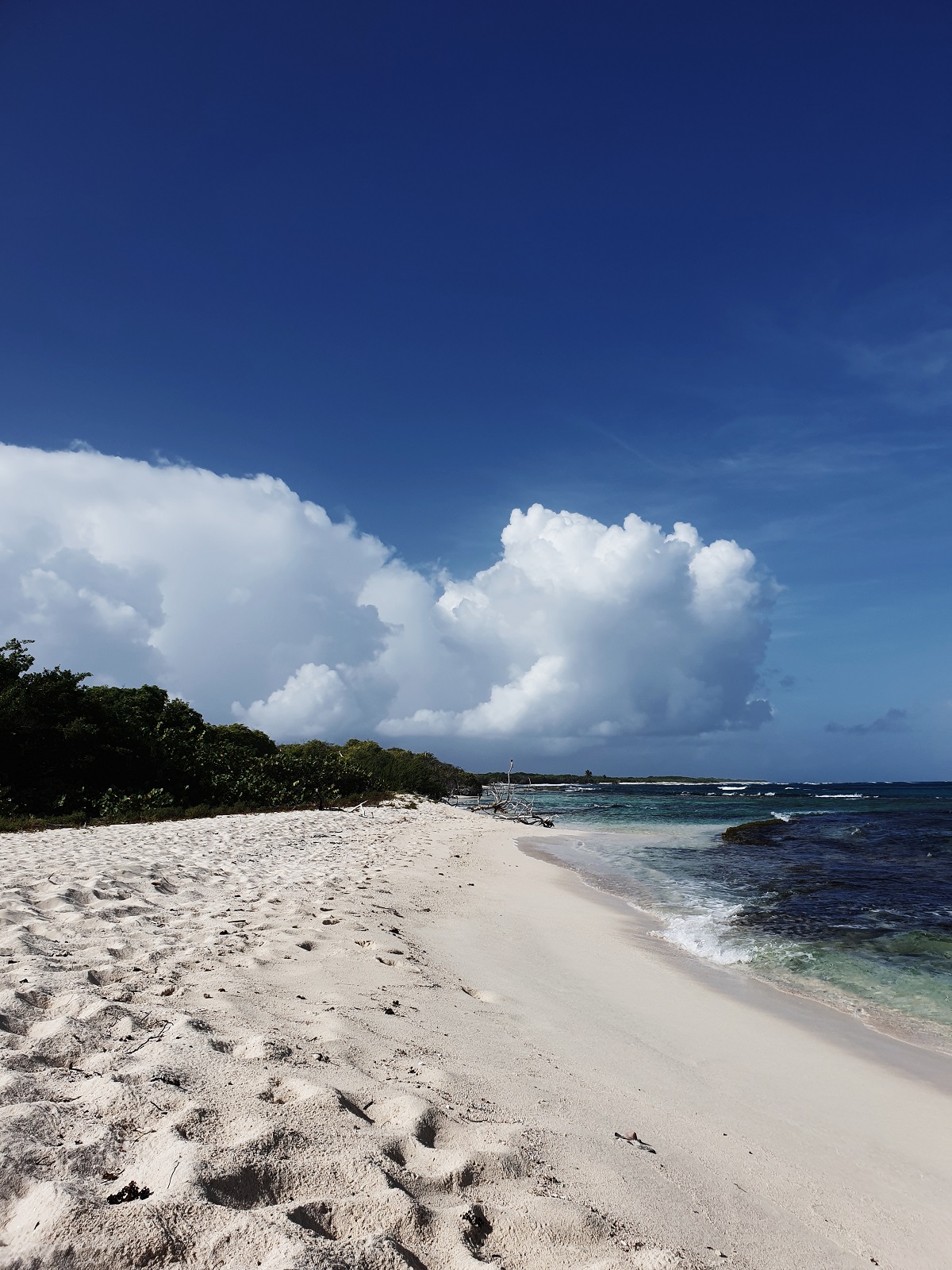 Guadeloupe