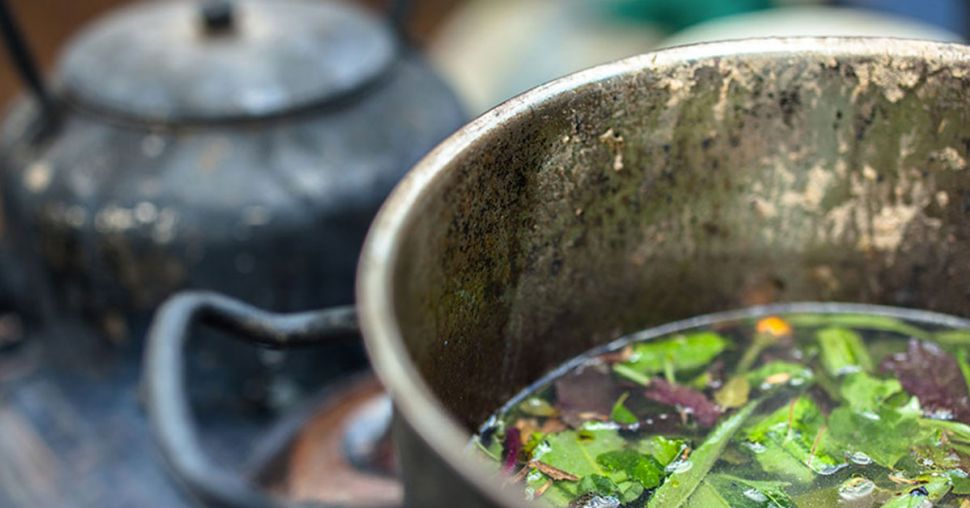 Ayahuasca: tout ce qu’il faut savoir sur ce breuvage controversé