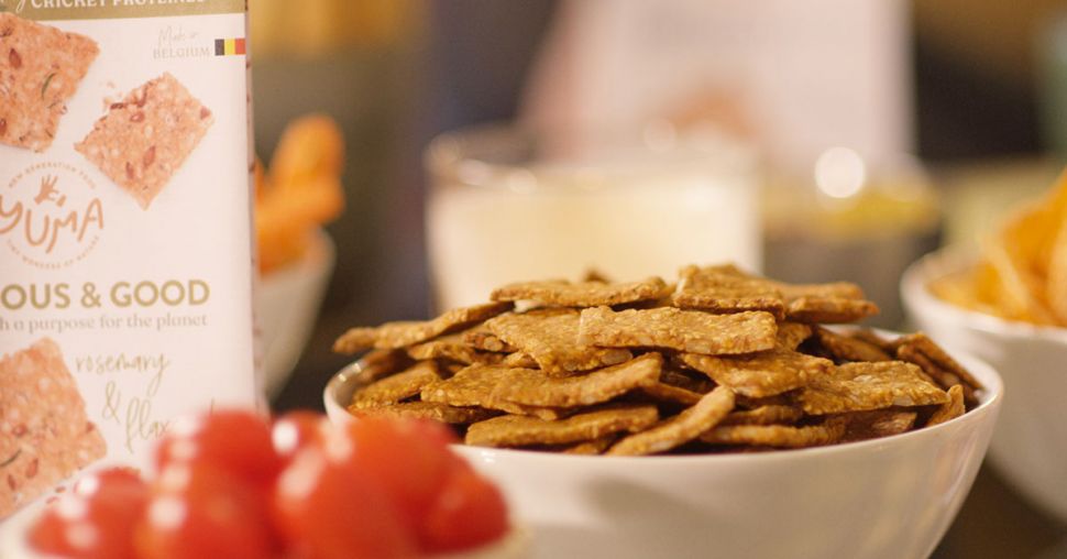 Yuma: les crackers belges à base d’insectes à croquer