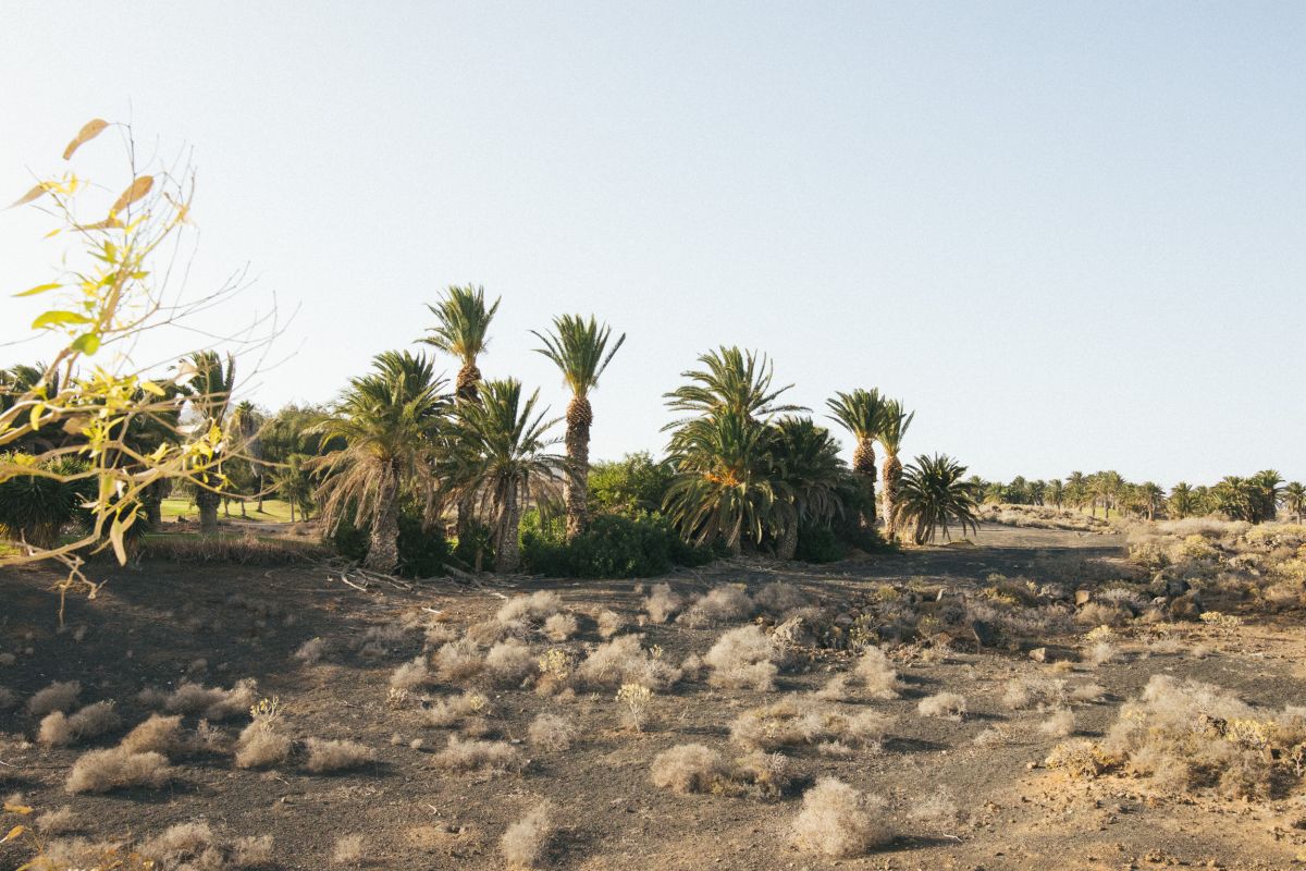 Lanzarote