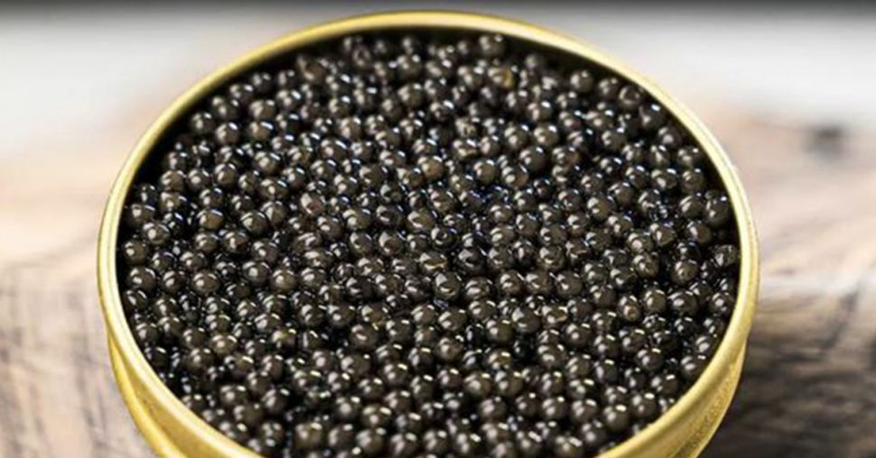 3 conseils pour choisir, conserver et déguster le caviar