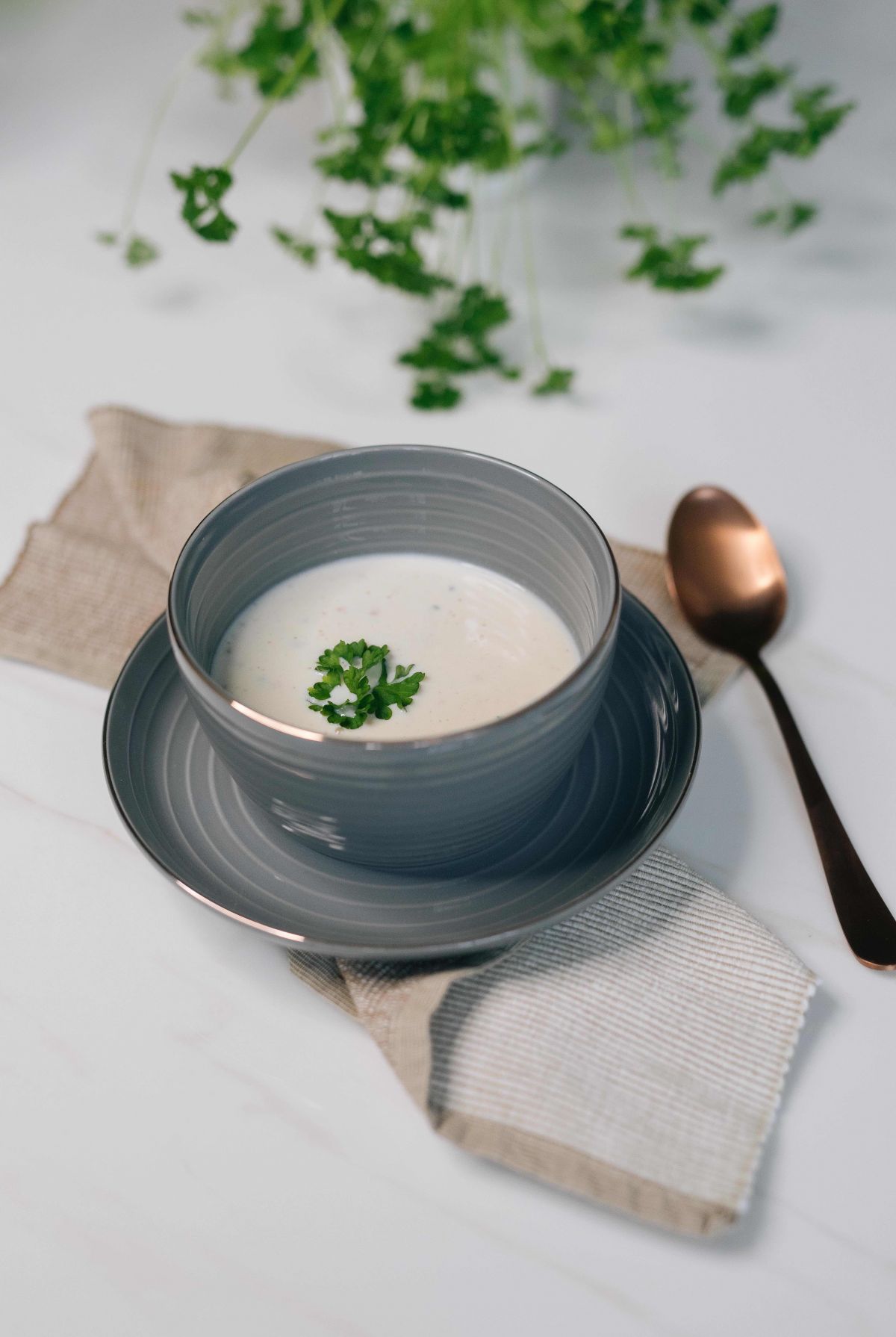 F1 Repas salé saveur champignons et fines herbes