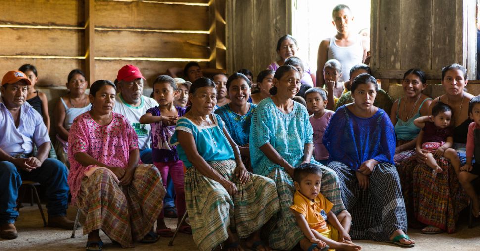 Treedom plante des arbres au Guatemala pour soutenir les femmes