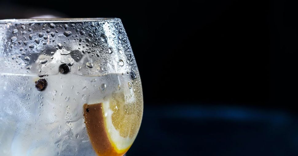 3 nouvelles marques de gin belges à tester cet été