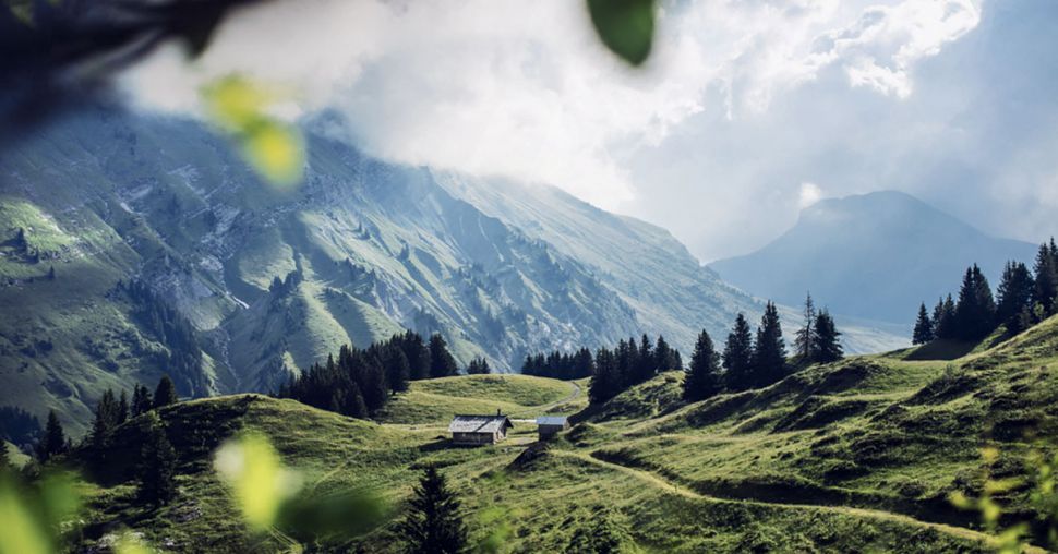 Où se trouve le paradis vert ?