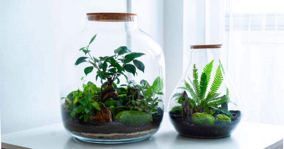 L’activité à tester cet été : le Workshop terrarium à l’hôtel Indigo