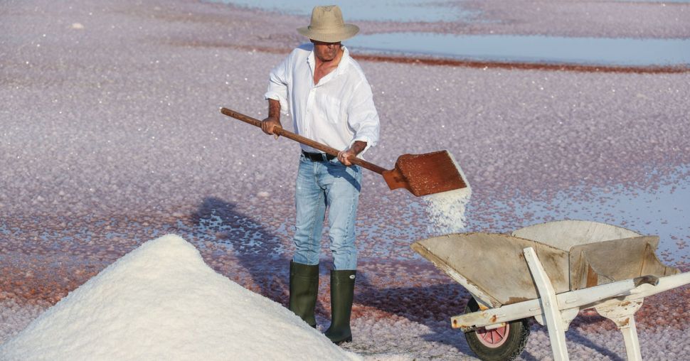 Fleur de sel : à la découverte d’un trésor camarguais