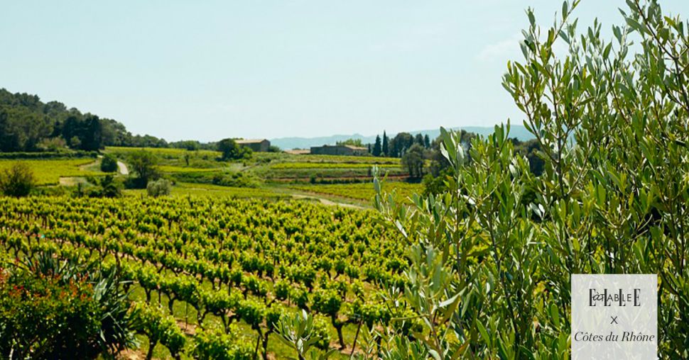 3 cuvées AOC Côtes du Rhône à découvrir d’urgence