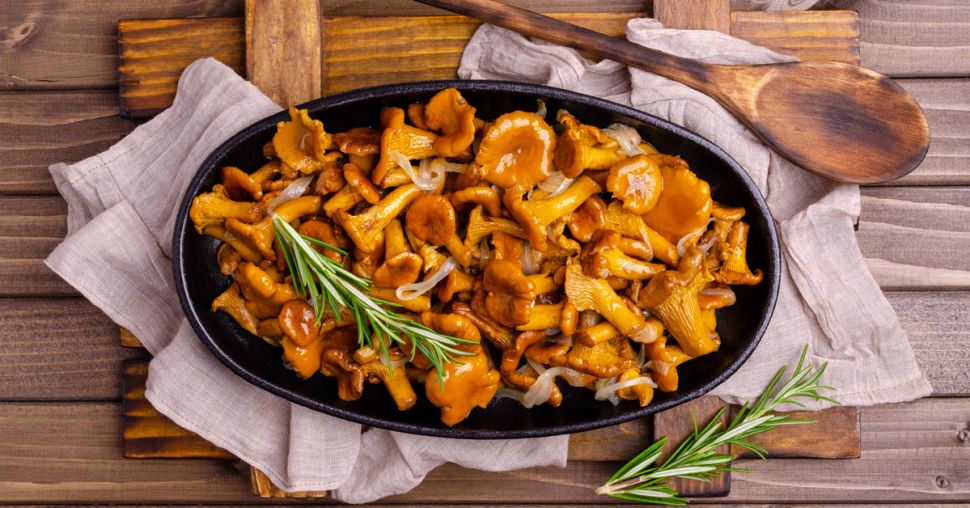 Comment choisir, conserver et cuisiner les champignons ?