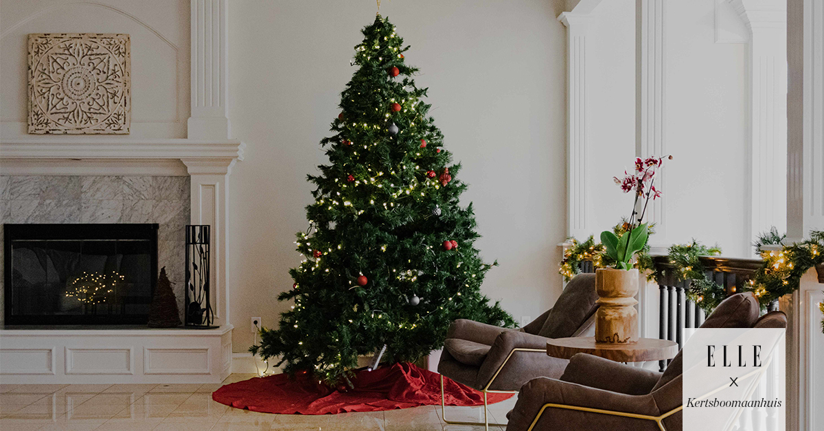 Livraison de sapin a domicile pour un Noël chaleureux ! - ELLE.be