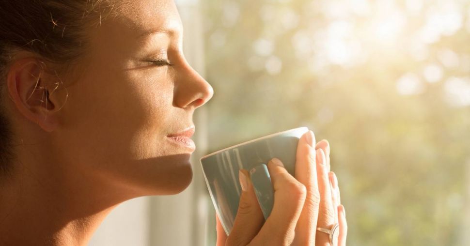 Découvrez les bienfaits du rooibos