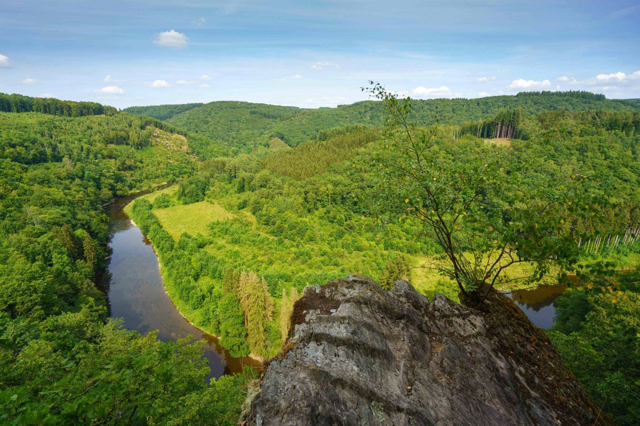 Point de vue sur la Semois