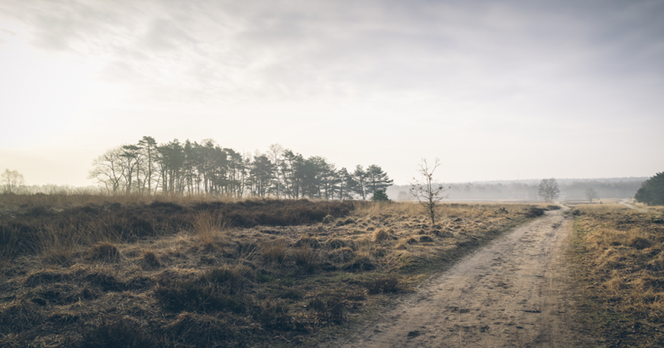 5 idées de vacances sportives en Belgique et aux Pays-Bas