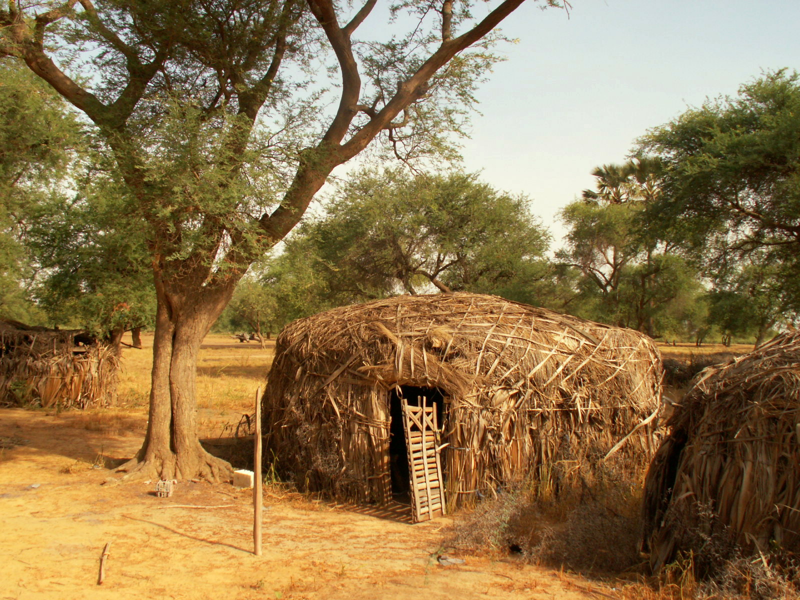 Sénégal - village