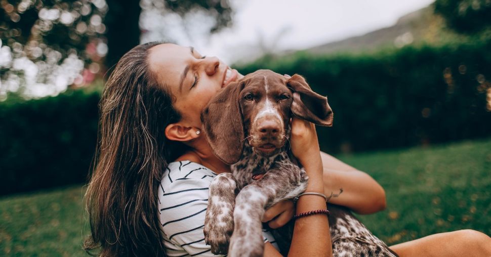 Moment bien-être à deux : une séance de massage en duo avec son chien