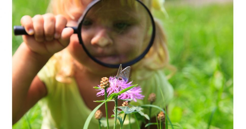 Que faire ce week-end ?  Partir à la découverte d’un jardin médicinal