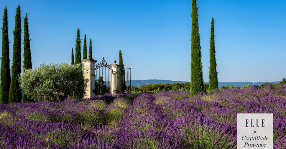 Vacances : où passer l’été au coeur de la Provence ?