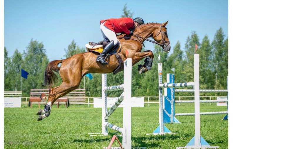 Le saut d’obstacles : vers la fin de la mixité ?