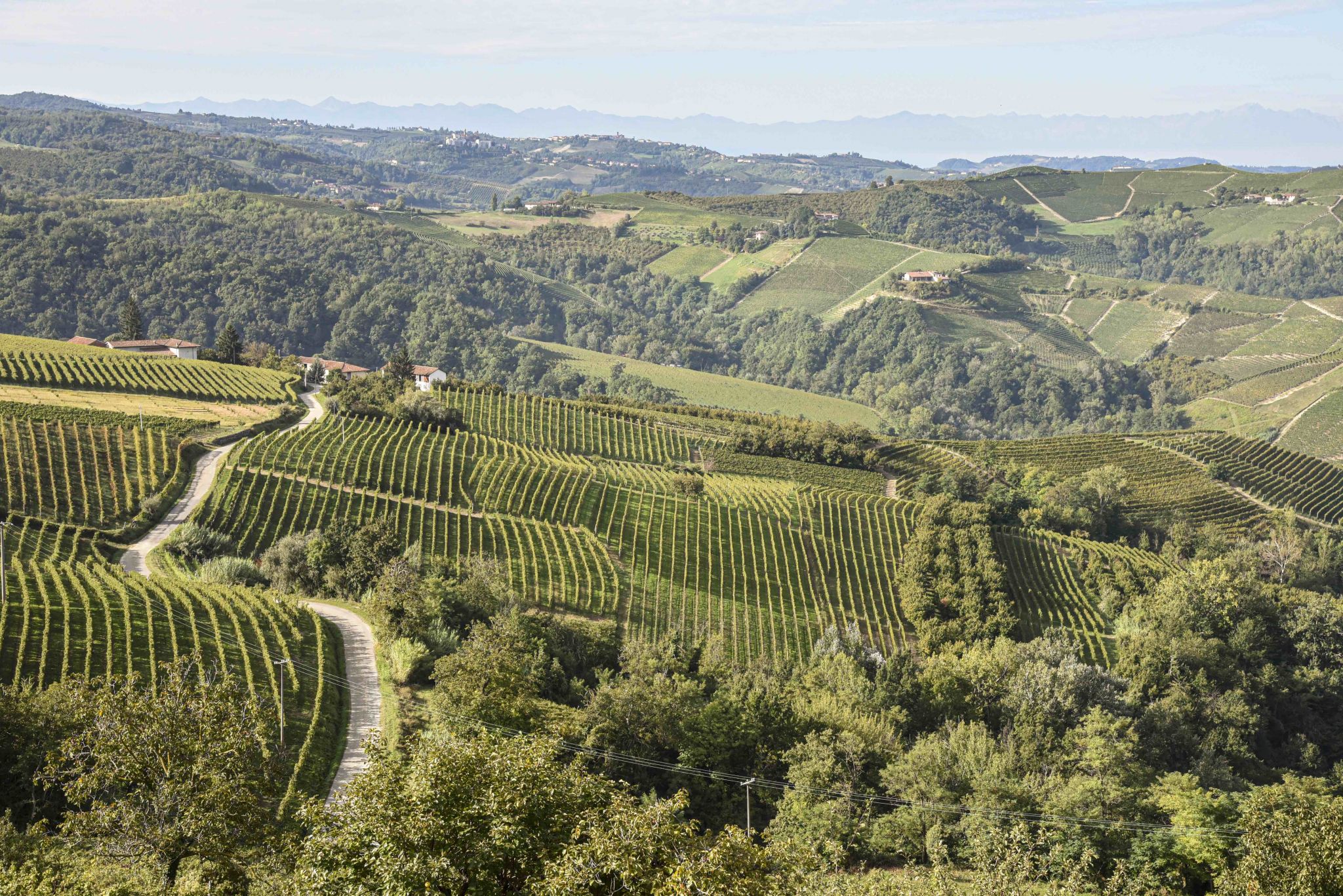 Langhe, Roero Et Monferrato : Périple Gastronomique Et Viticole - ELLE.be