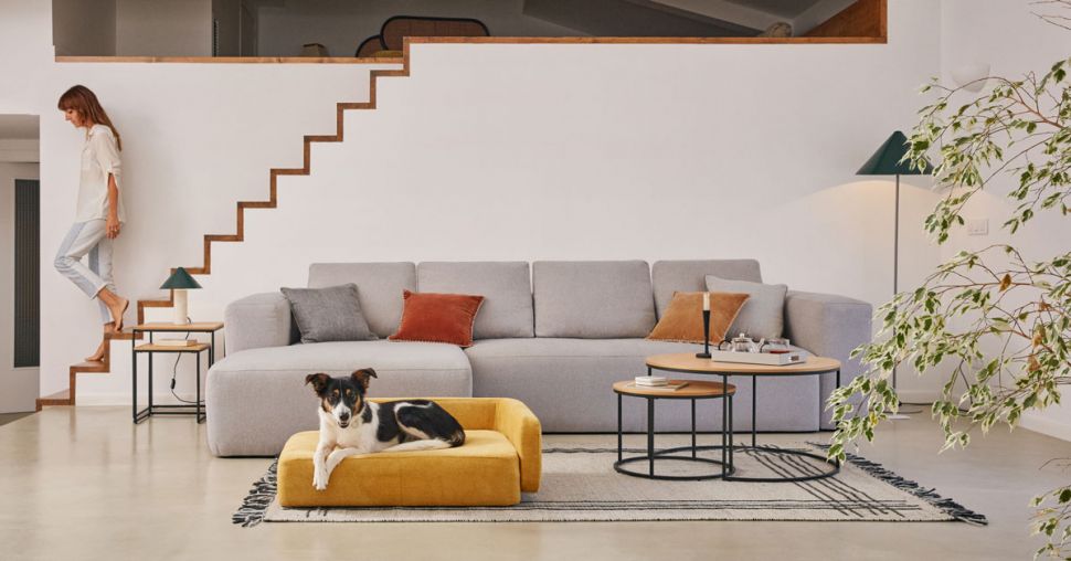 Kave Home lance une collection pour animaux de compagnie