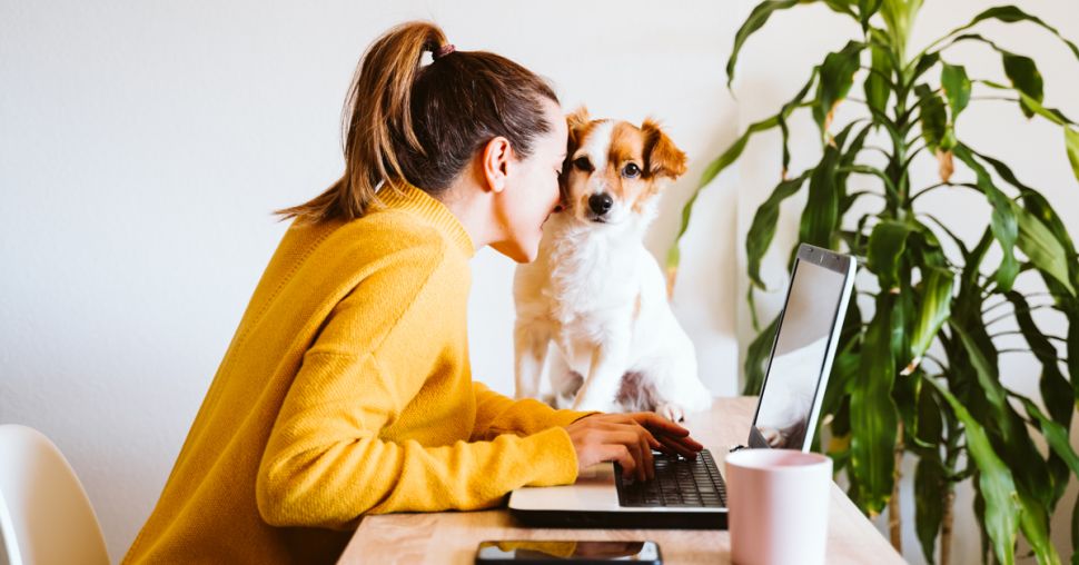 C’est prouvé : emmener son chien au bureau rend plus heureux